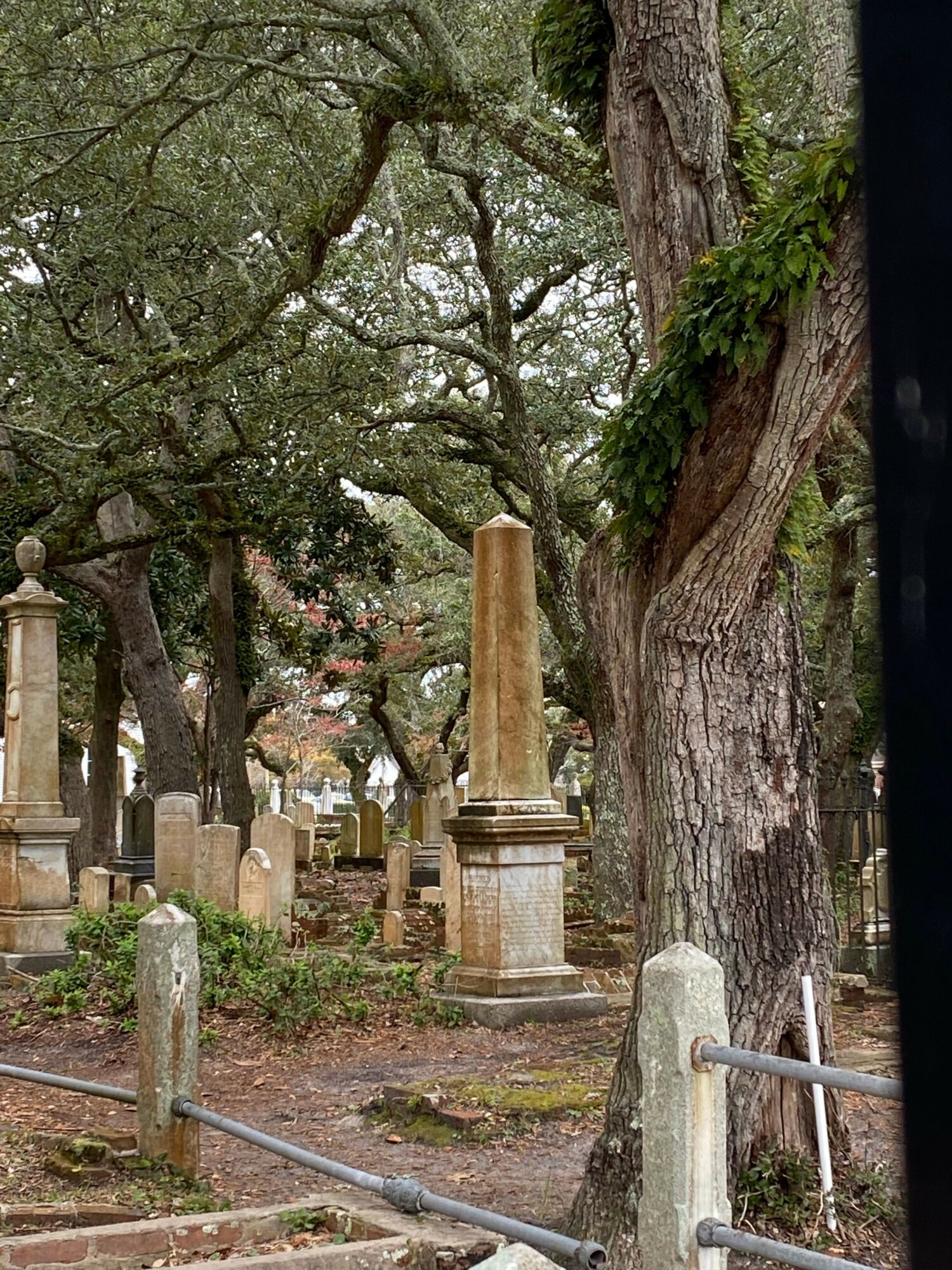 Stone columns and trees in a garden setting with a pathway and metal railing, viewed from the side.