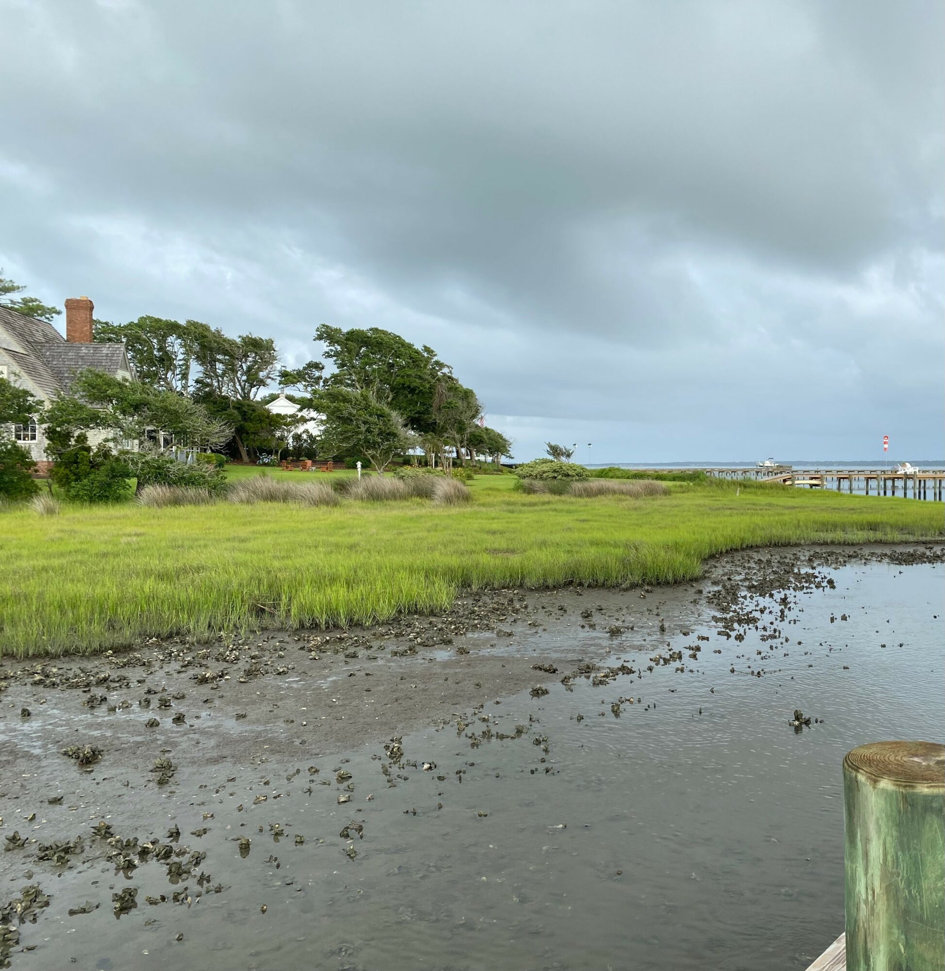 Coastal landscape with grassy marsh, trees, cloudy sky, and a pier in the distance, viewed from a water's edge.