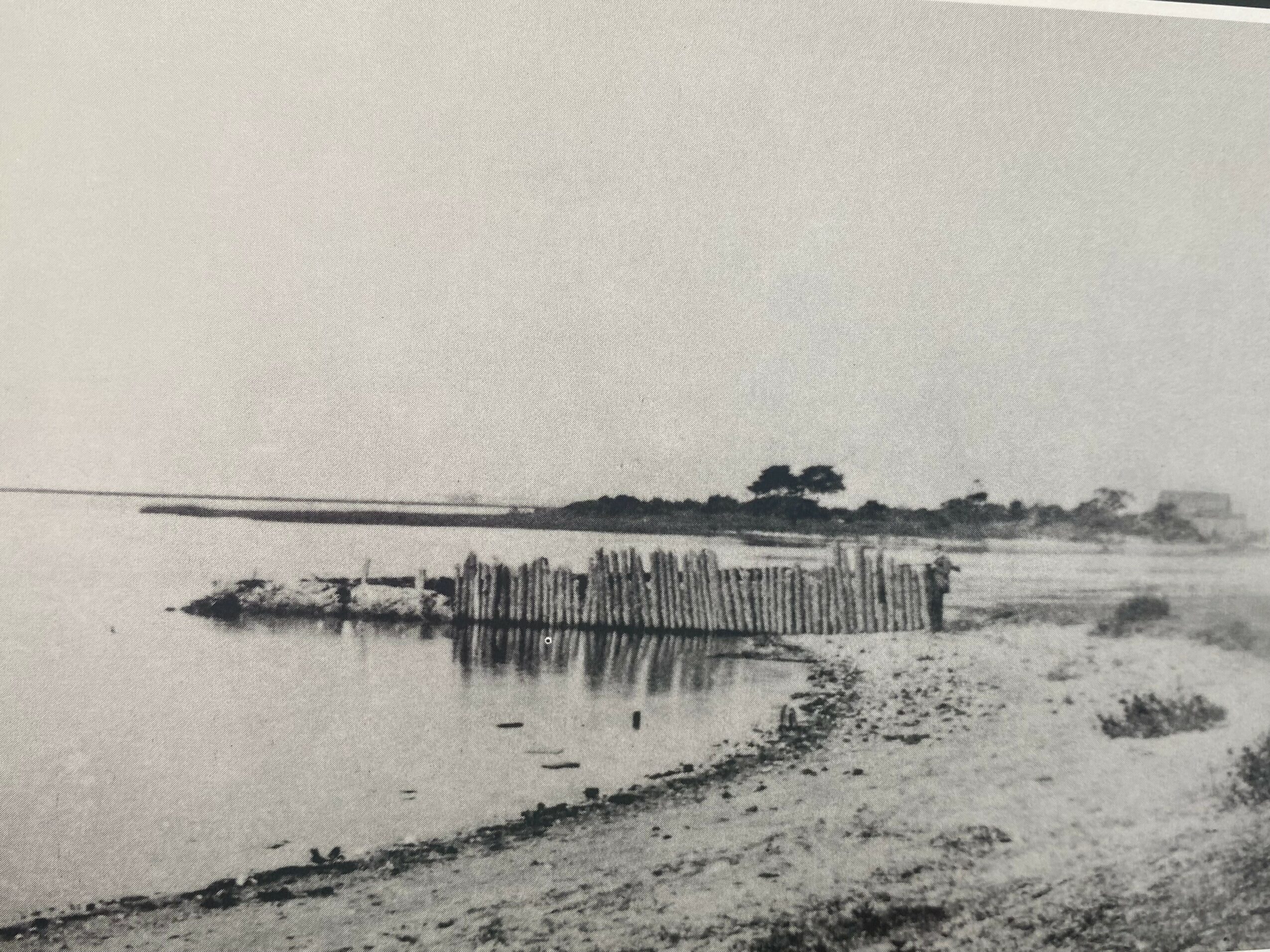 Beach shoreline with wooden posts and distant trees under a cloudy sky.