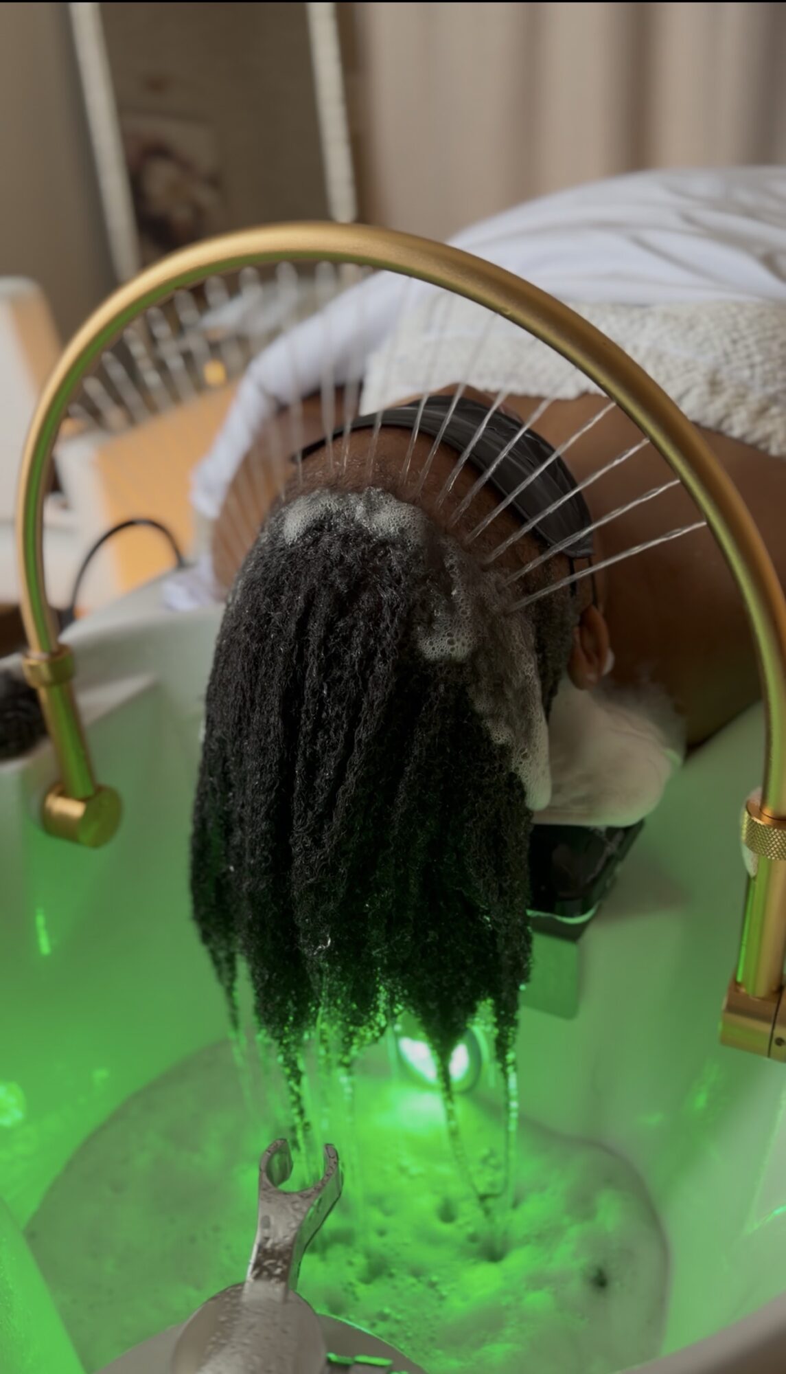 A dog with long, dark hair is seen through a circular mirror, with a green light illuminating the scene.