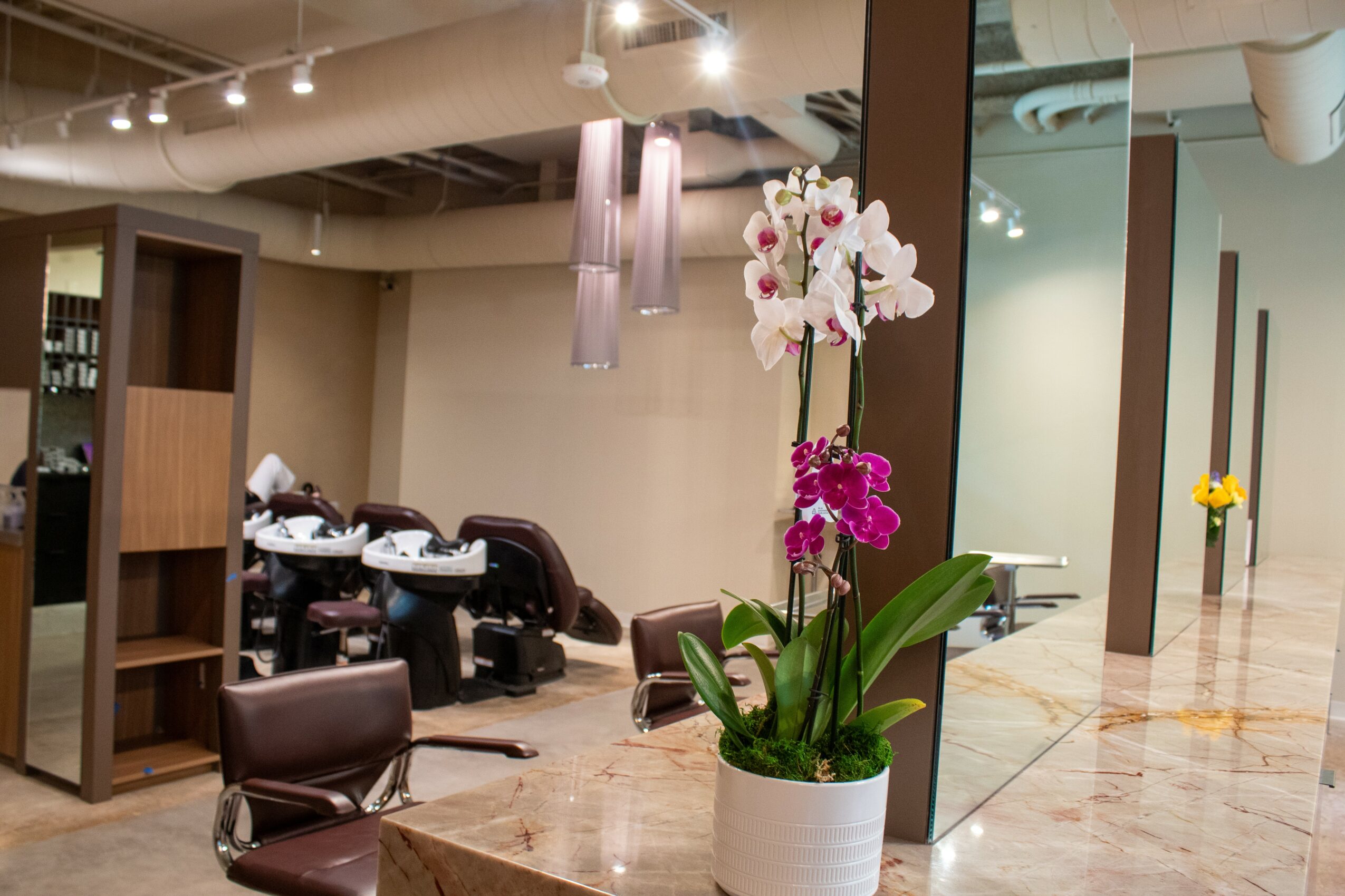 Elegant indoor space with tables, chairs, and a large potted orchid plant with white and pink flowers.