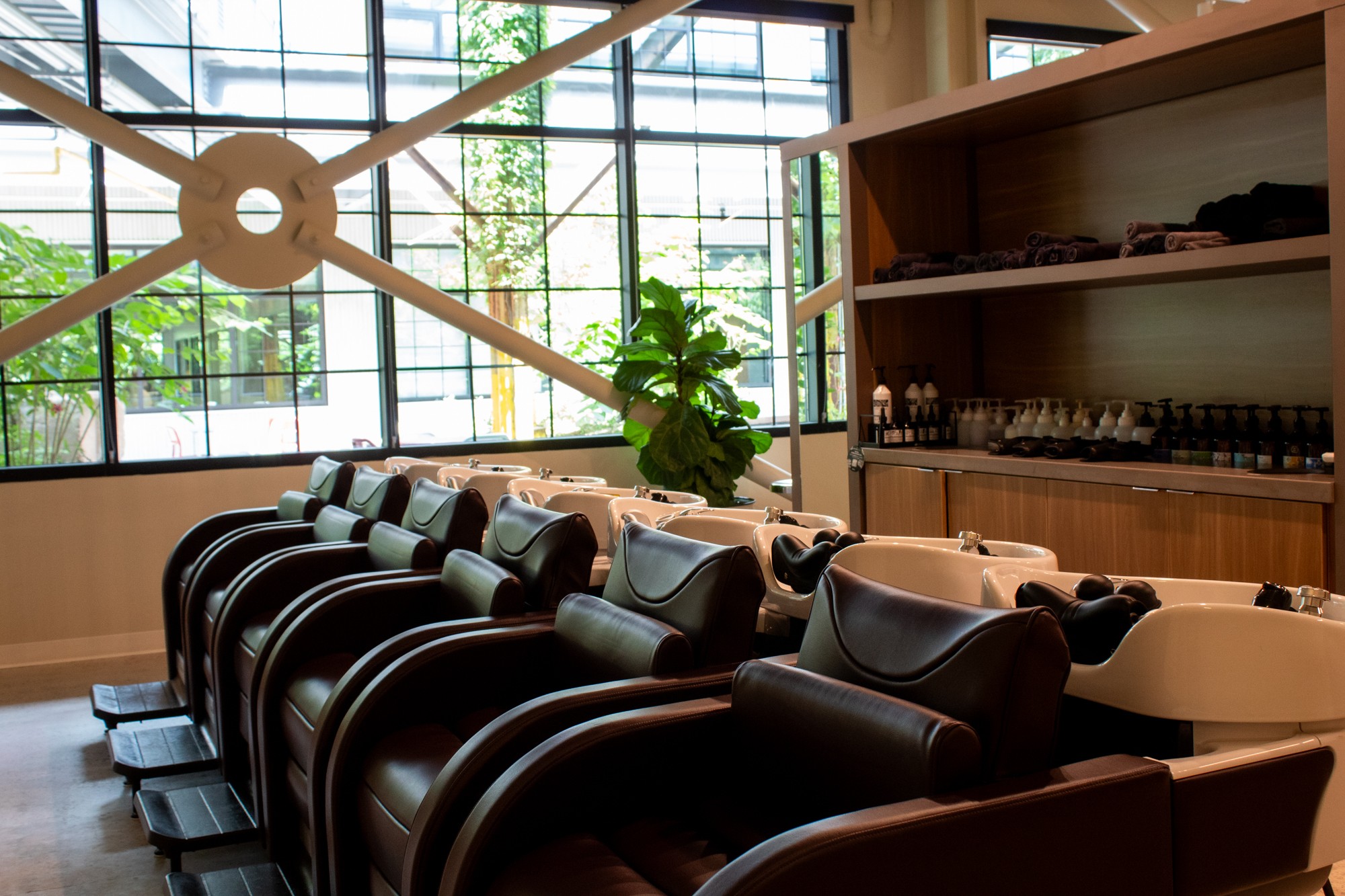 Salon with black chairs, large window, green plant, and wooden shelves, well-lit with natural light.