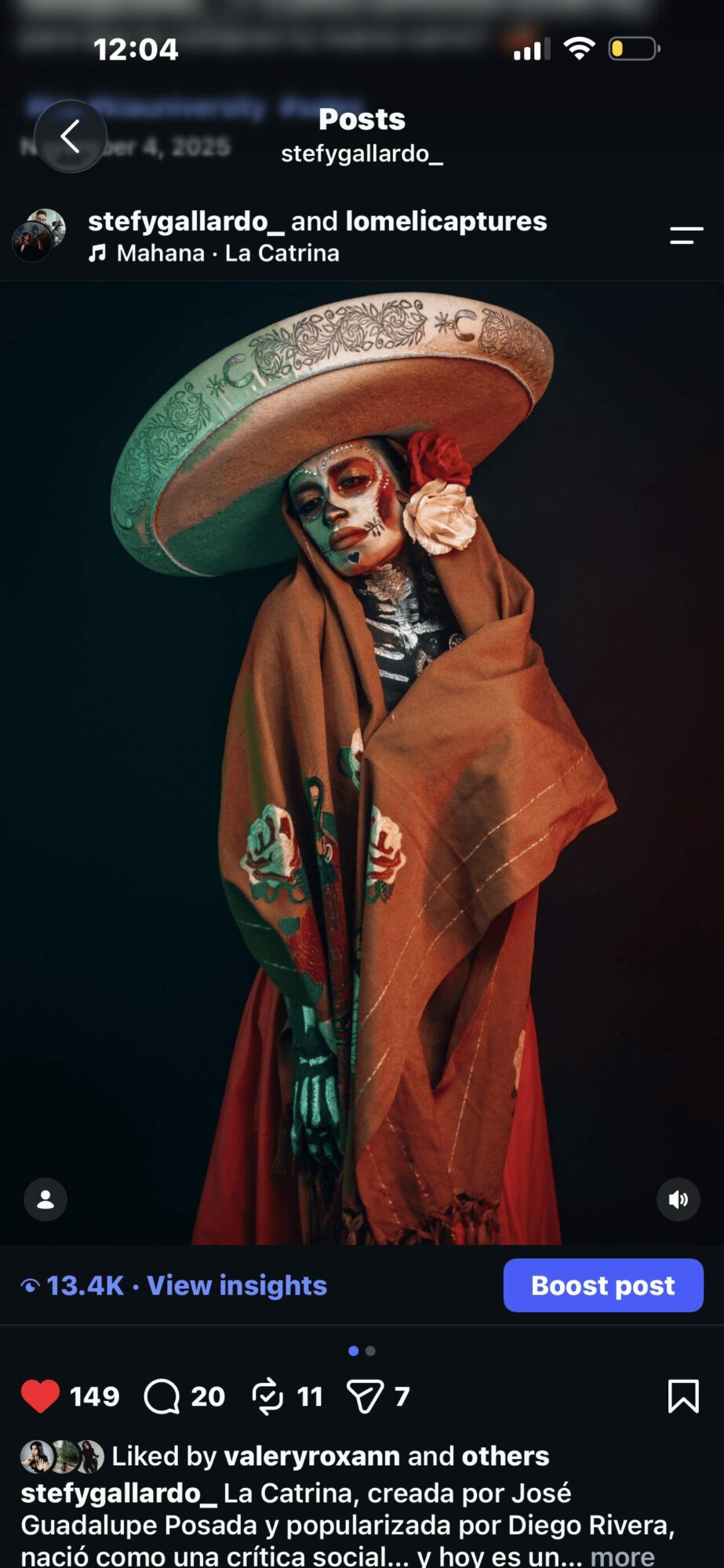 Person wearing a large hat with a wide brim, a brown shawl, and holding a flower, against a dark background.