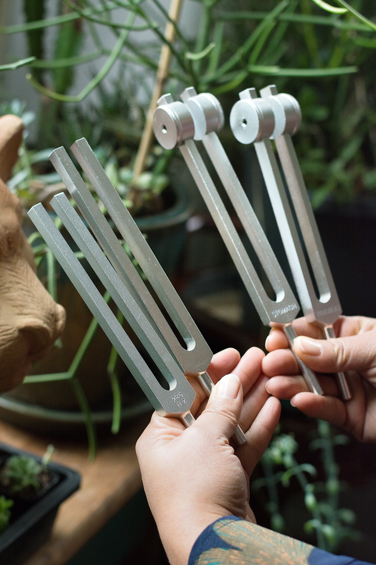 Two hands hold metal gardening tools with long handles and white plastic heads, in a green plant-filled environment.