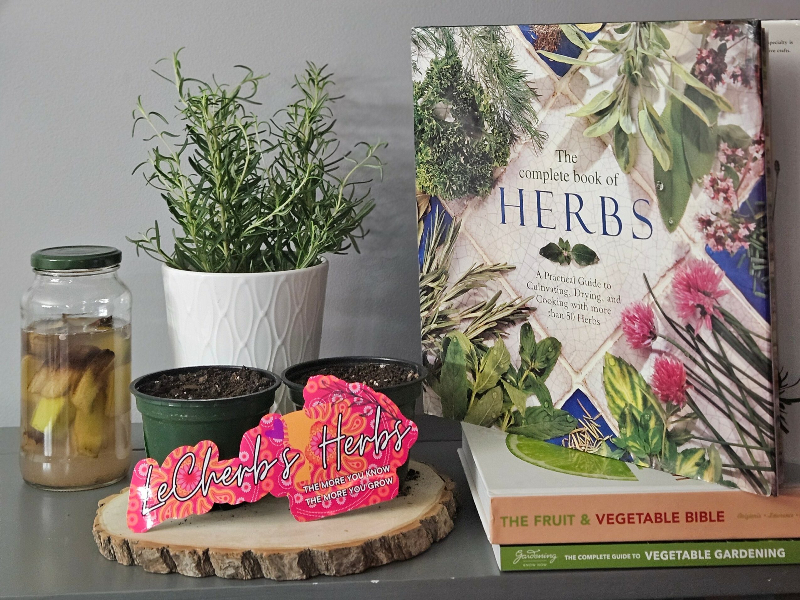 Plants, a book about herbs, a jar with preserved fruit, and gardening items on a table, with a wooden slice base.