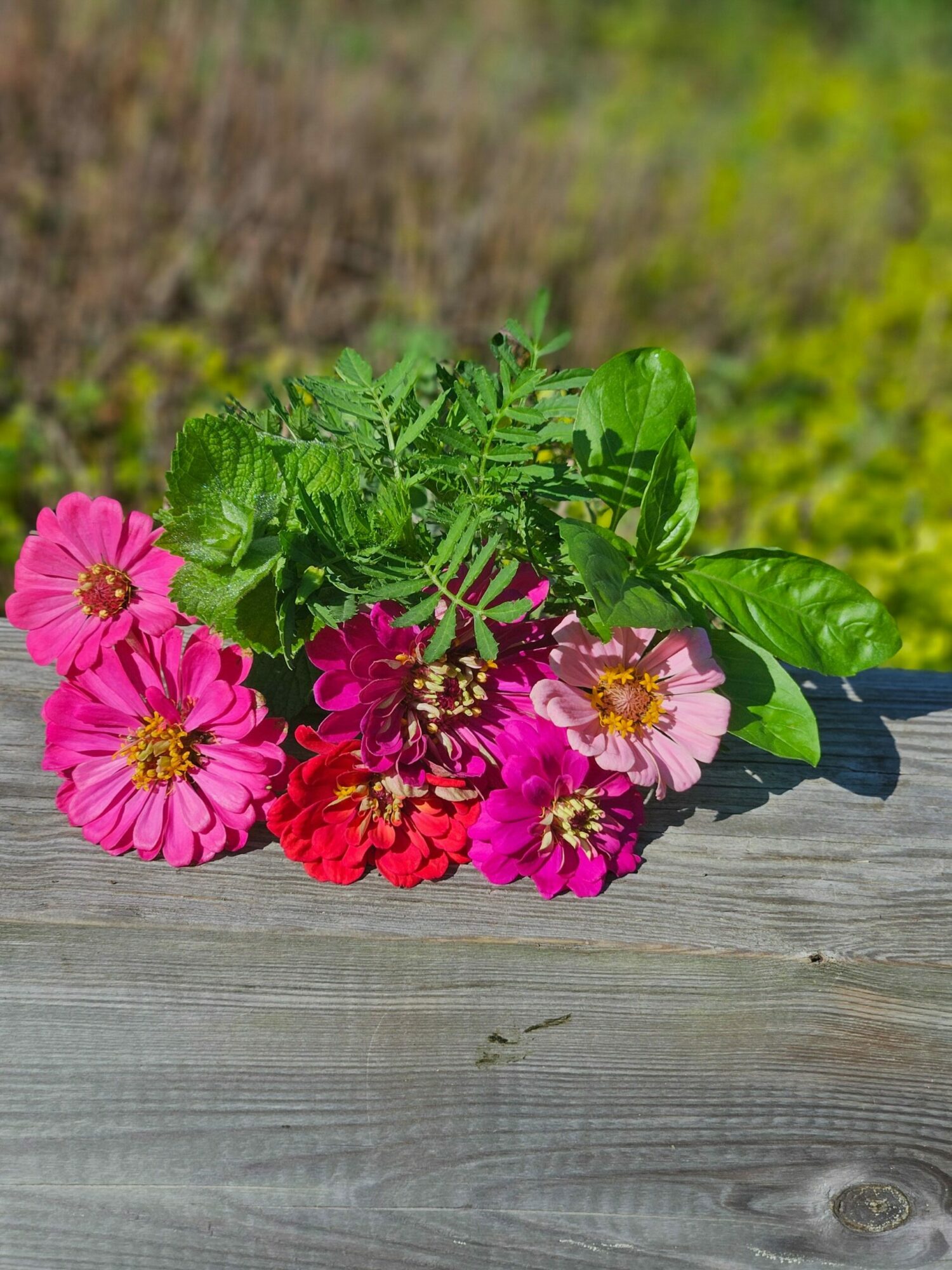 Colorful pink, red, and purple flowers with green leaves on a wooden surface.