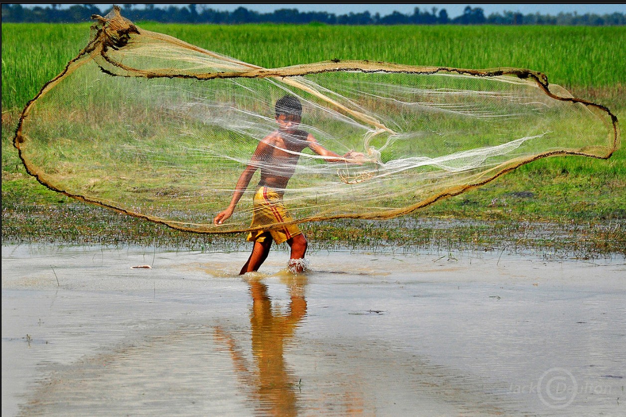 Child playing in water holding a large fishing net, with green fields in the background.