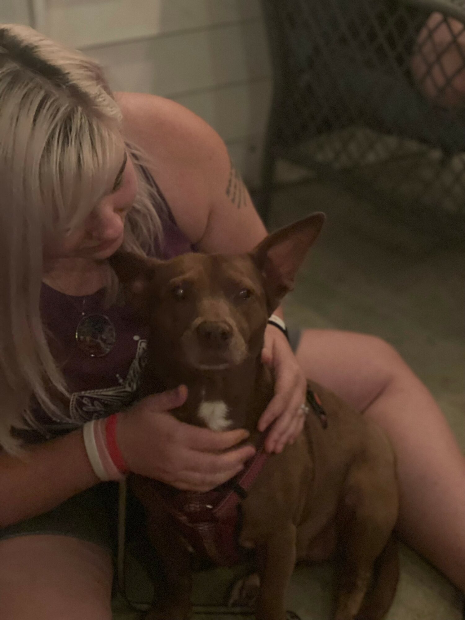 Person with blonde hair hugging a brown dog with large ears, sitting on a wooden floor indoors.