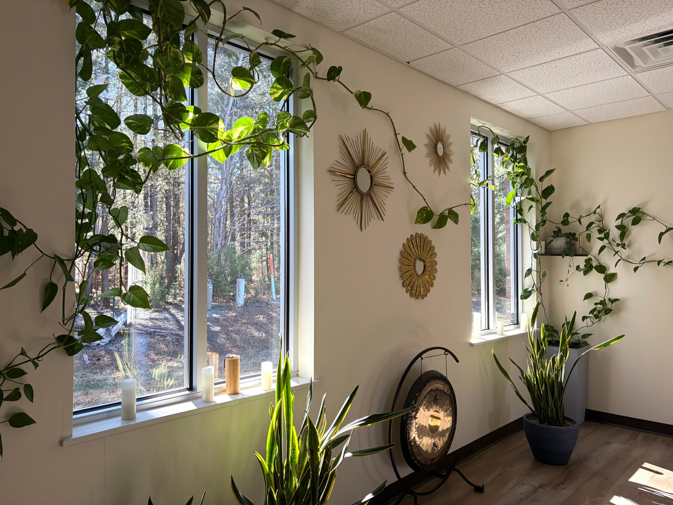 Room with two windows, plants, decorative wall art, and a mirror on the floor, sunlight streaming in, and ceiling tiles visible.