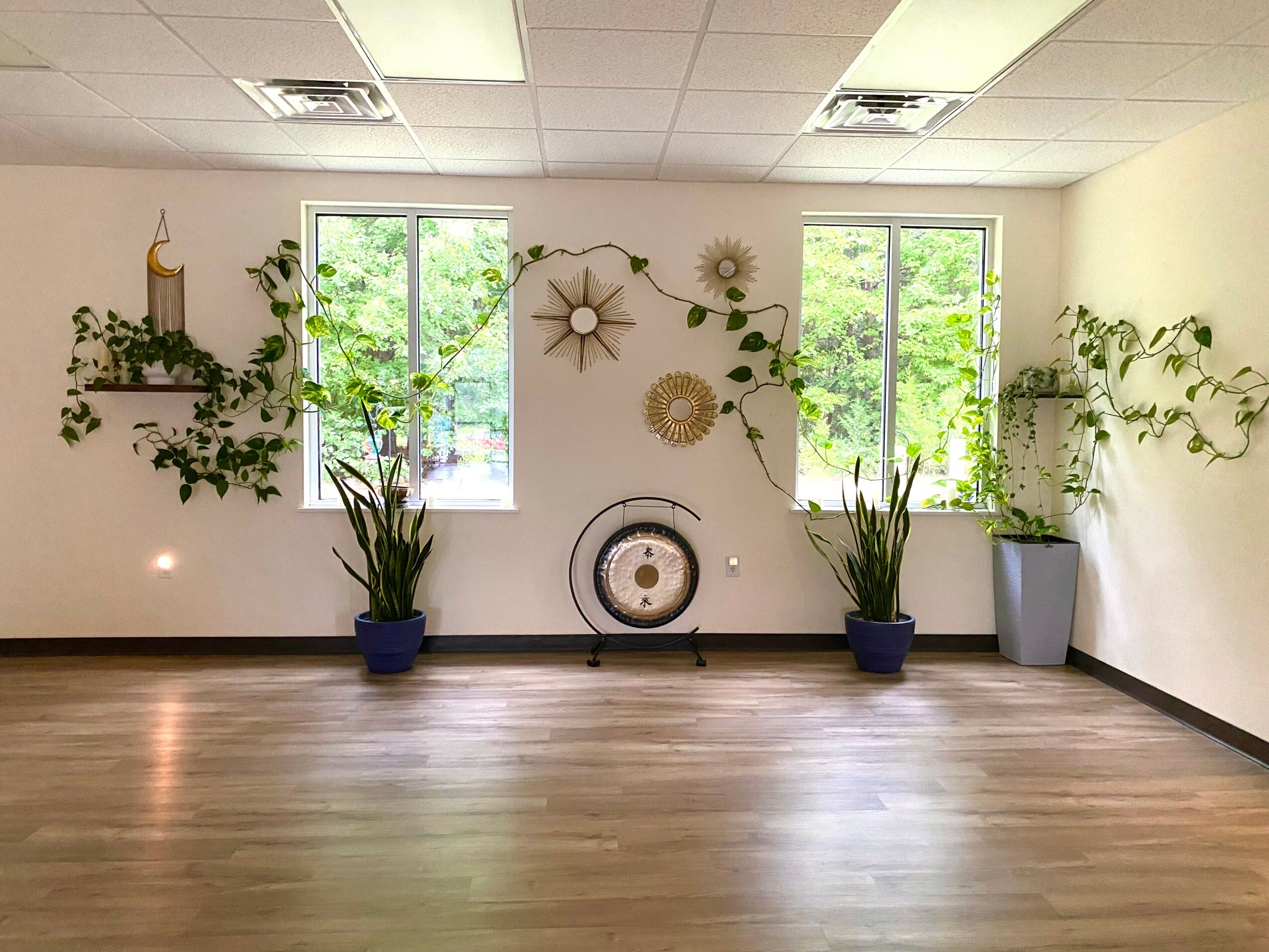 Interior room with two windows, plants, wall decorations, and a circular object on the wall, with wooden floor and ceiling lights.