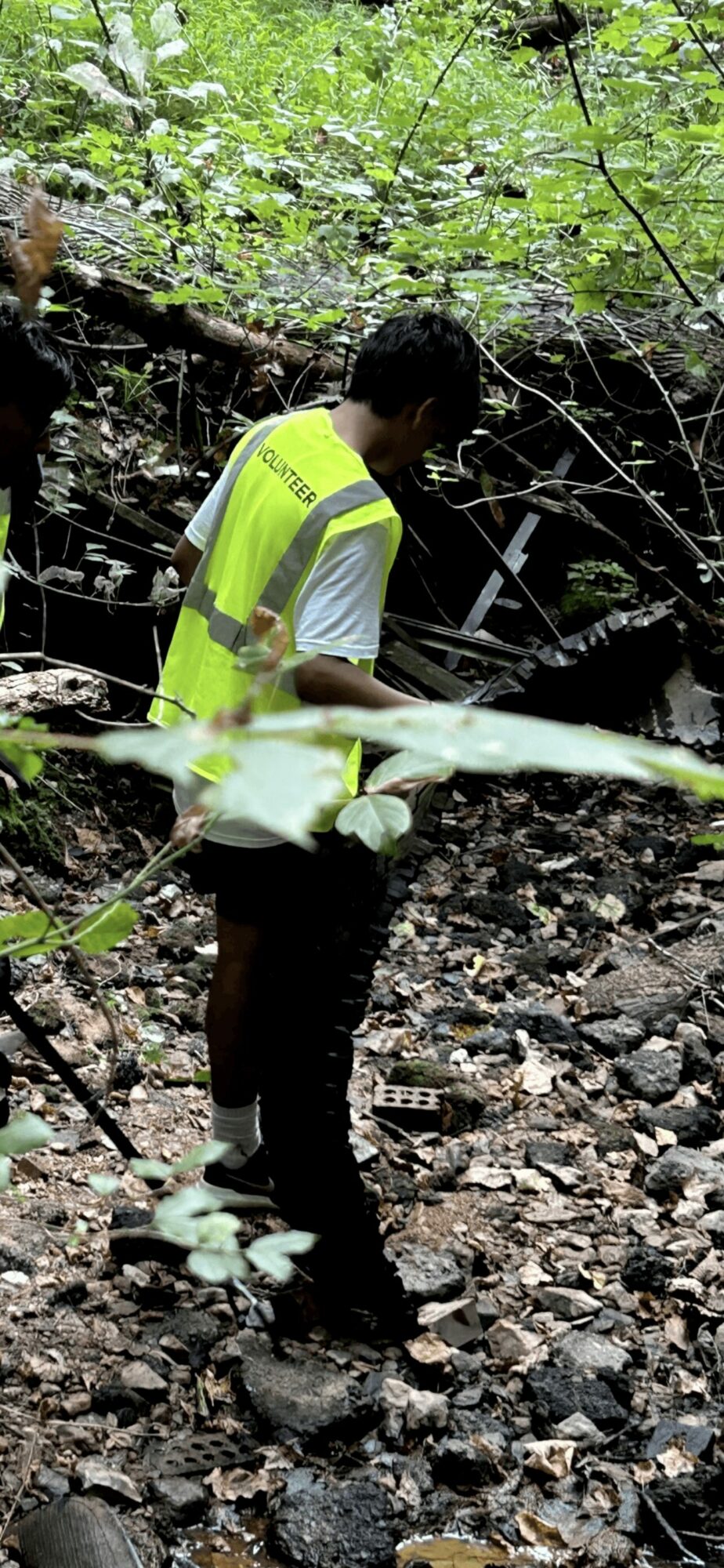 Person wearing a yellow vest exploring a forested area with trees and rocks.