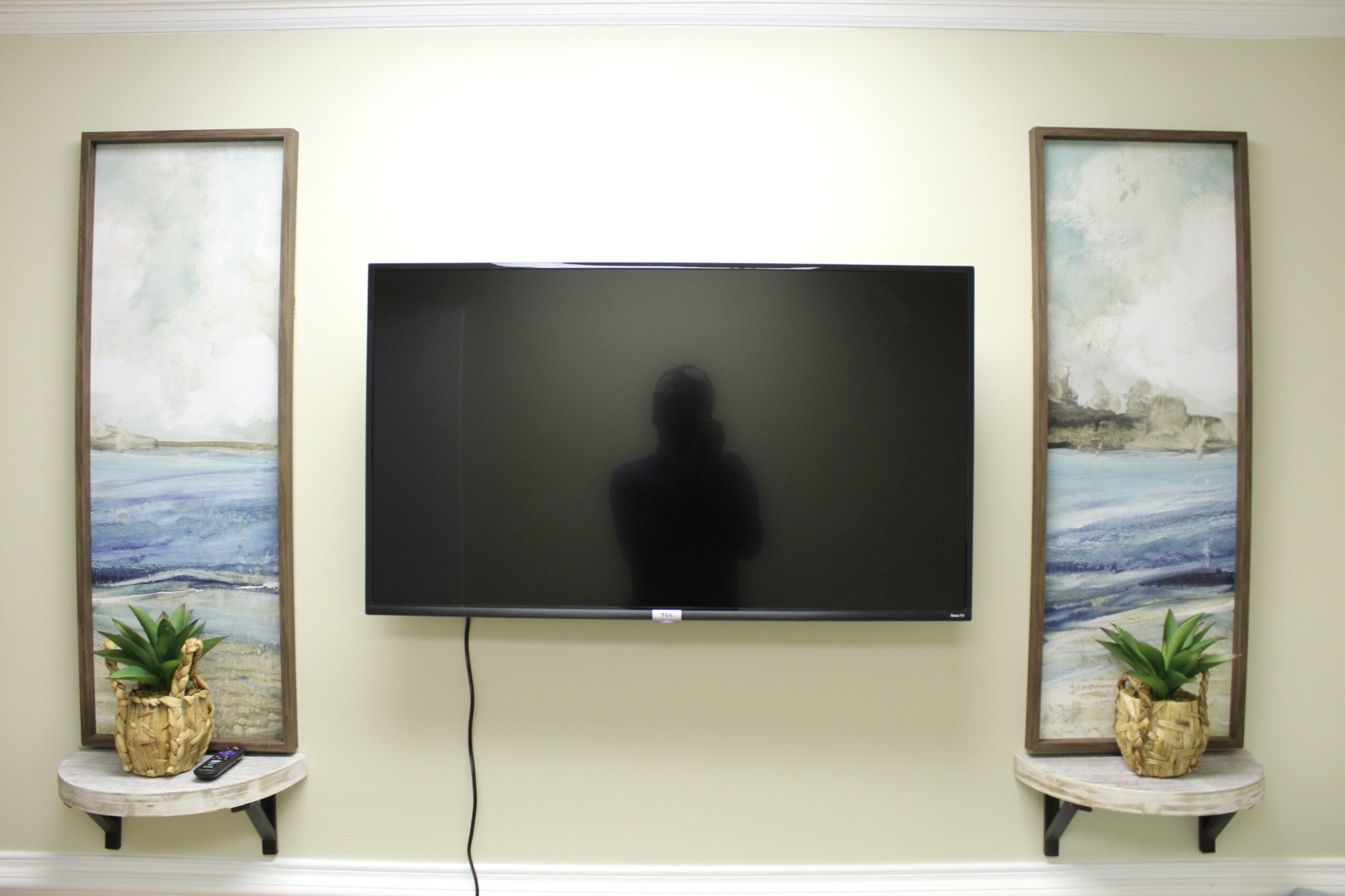 Flat-screen TV mounted on a wall with two tall landscape paintings on each side, each with a potted plant on a small shelf below.