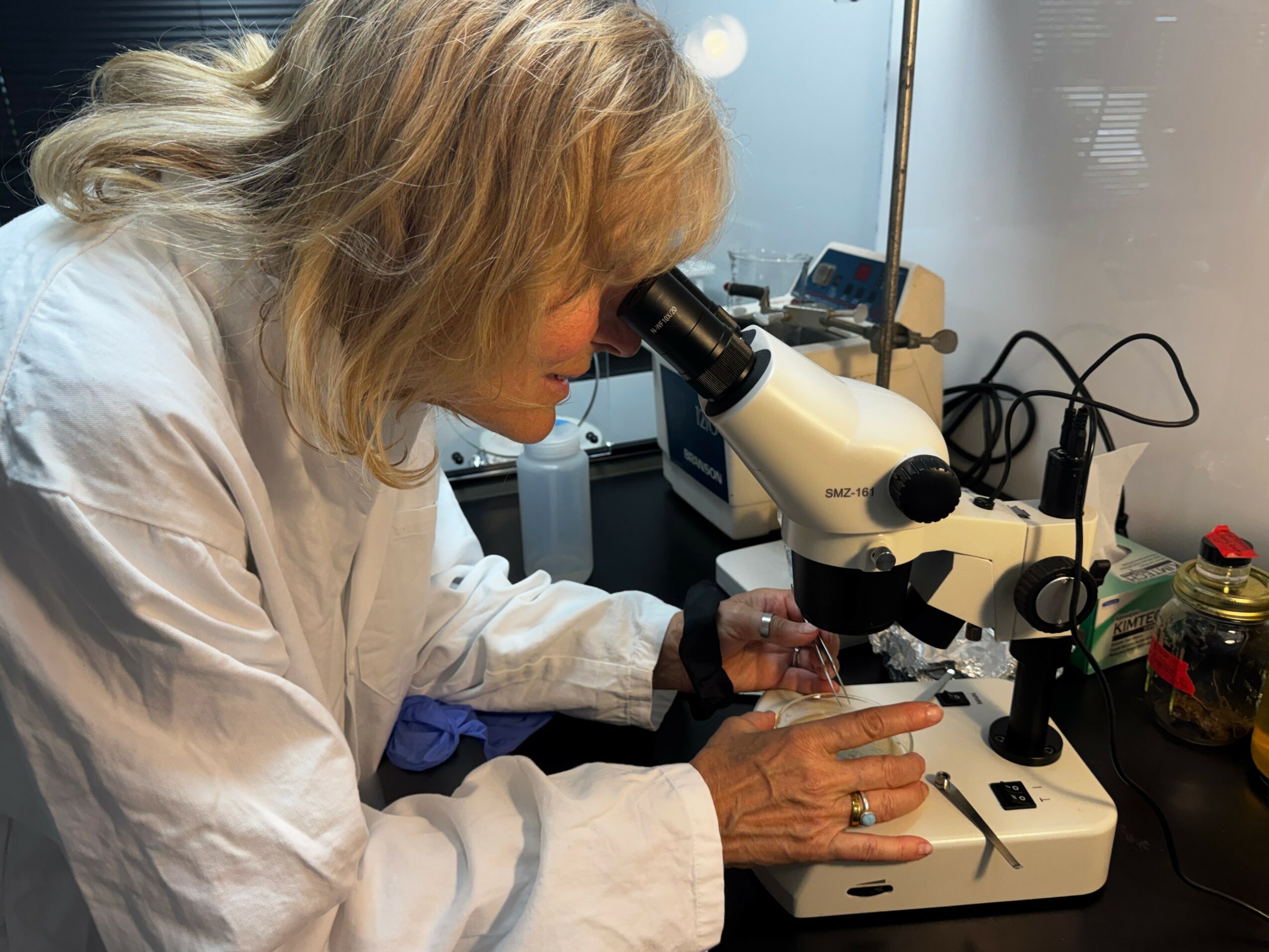 Person in a lab coat looking through a microscope in a laboratory setting.