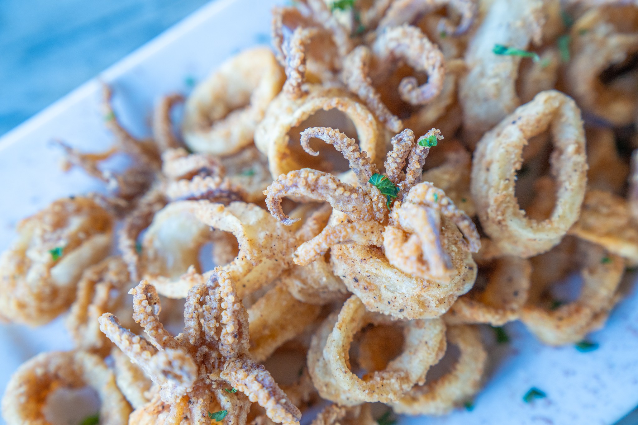 Close-up of fried, curly snack with sugar coating on a white plate, some green and blue sprinkles visible.