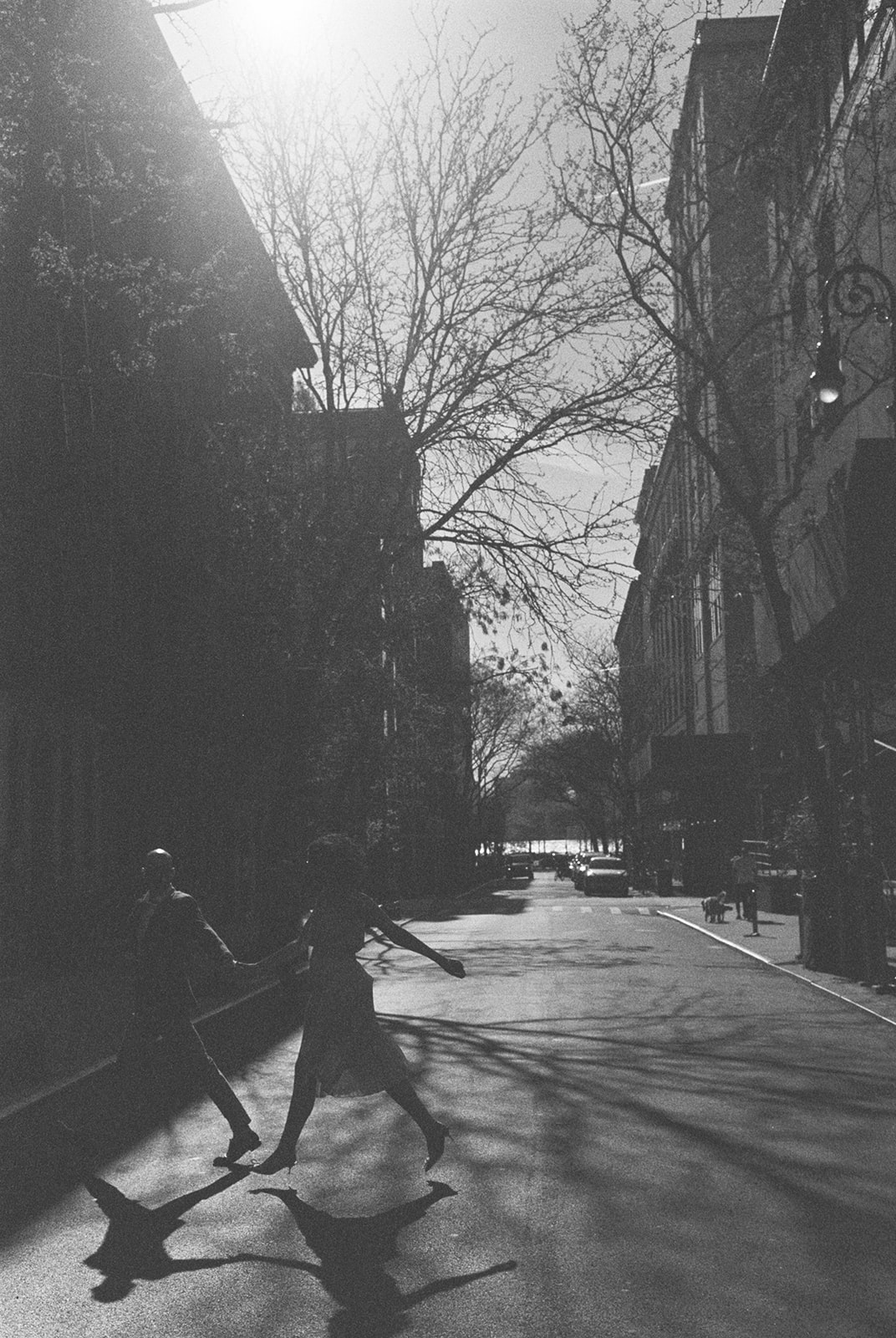 Two people walk across a street with leafless trees and buildings, sunlight shining overhead, shadows cast on the ground.
