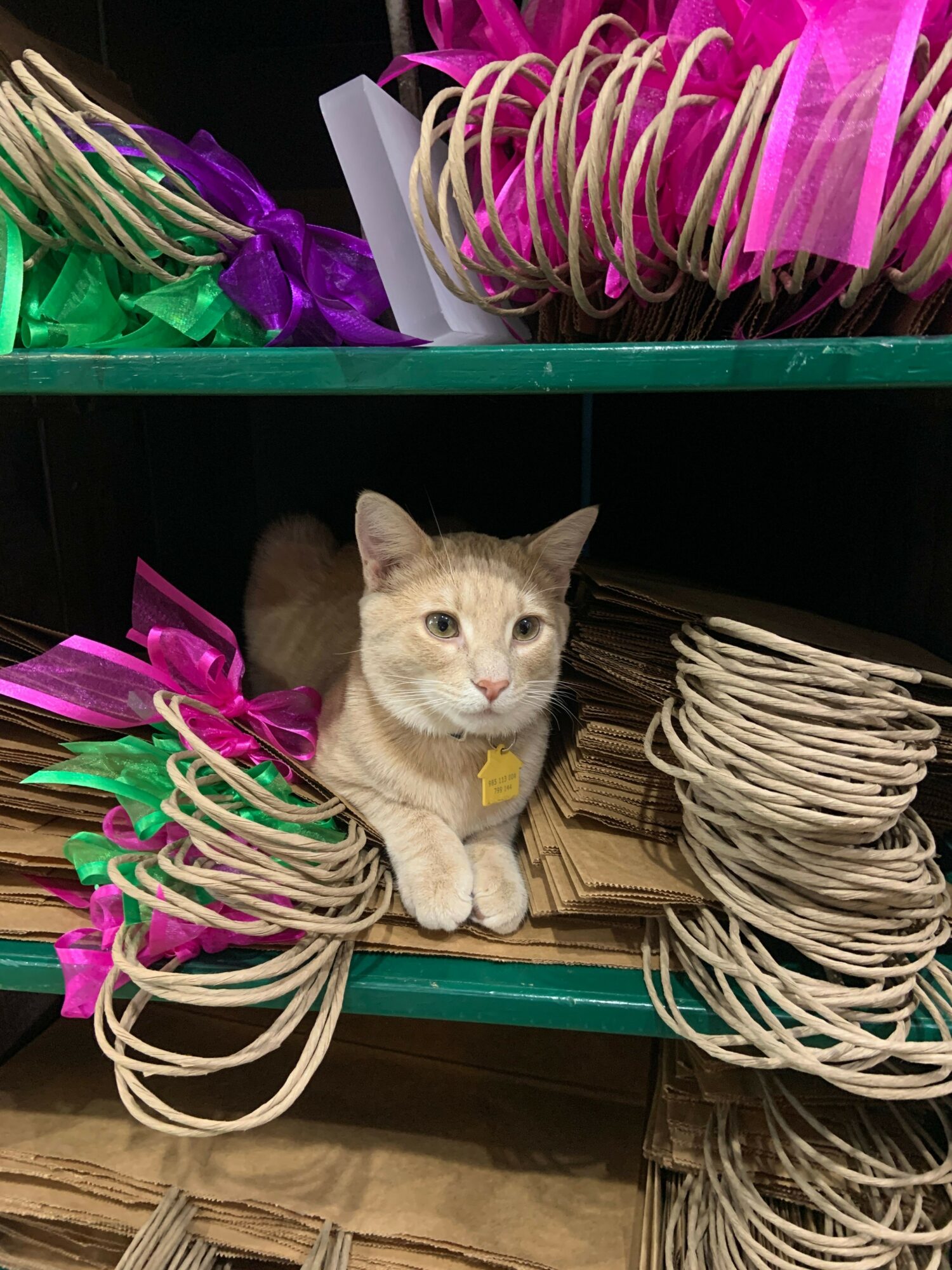 Cat lying among colorful ribbons on a shelf, with pink, green, and beige ribbons visible.