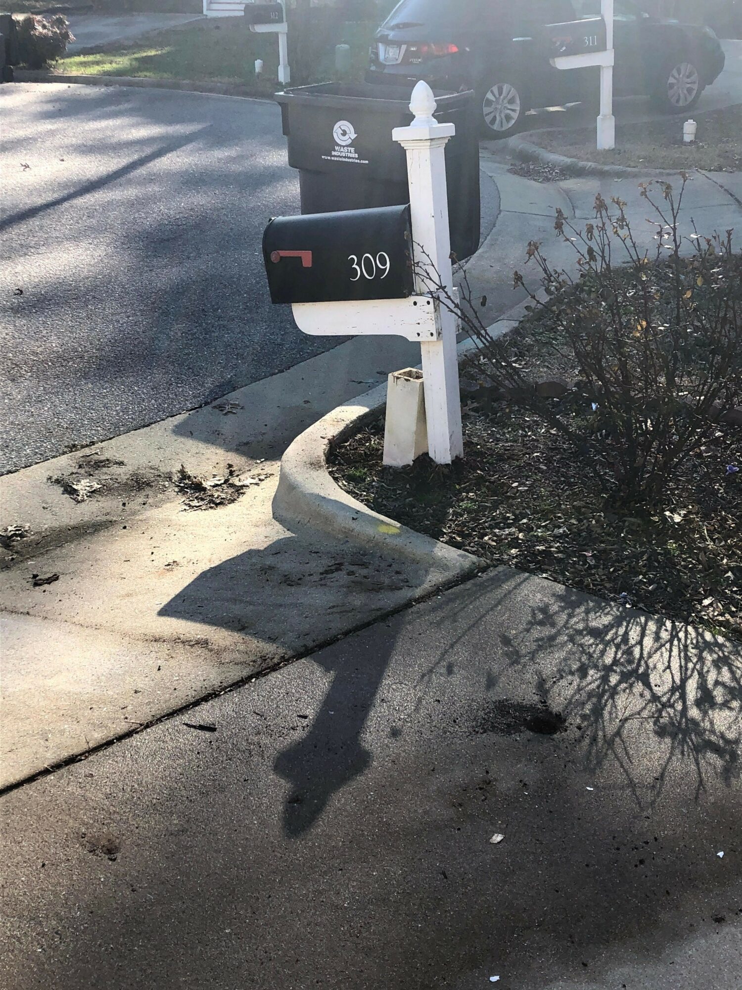 Street with mailbox, tree, and sidewalk, viewed from the side, with shadows cast on the ground.