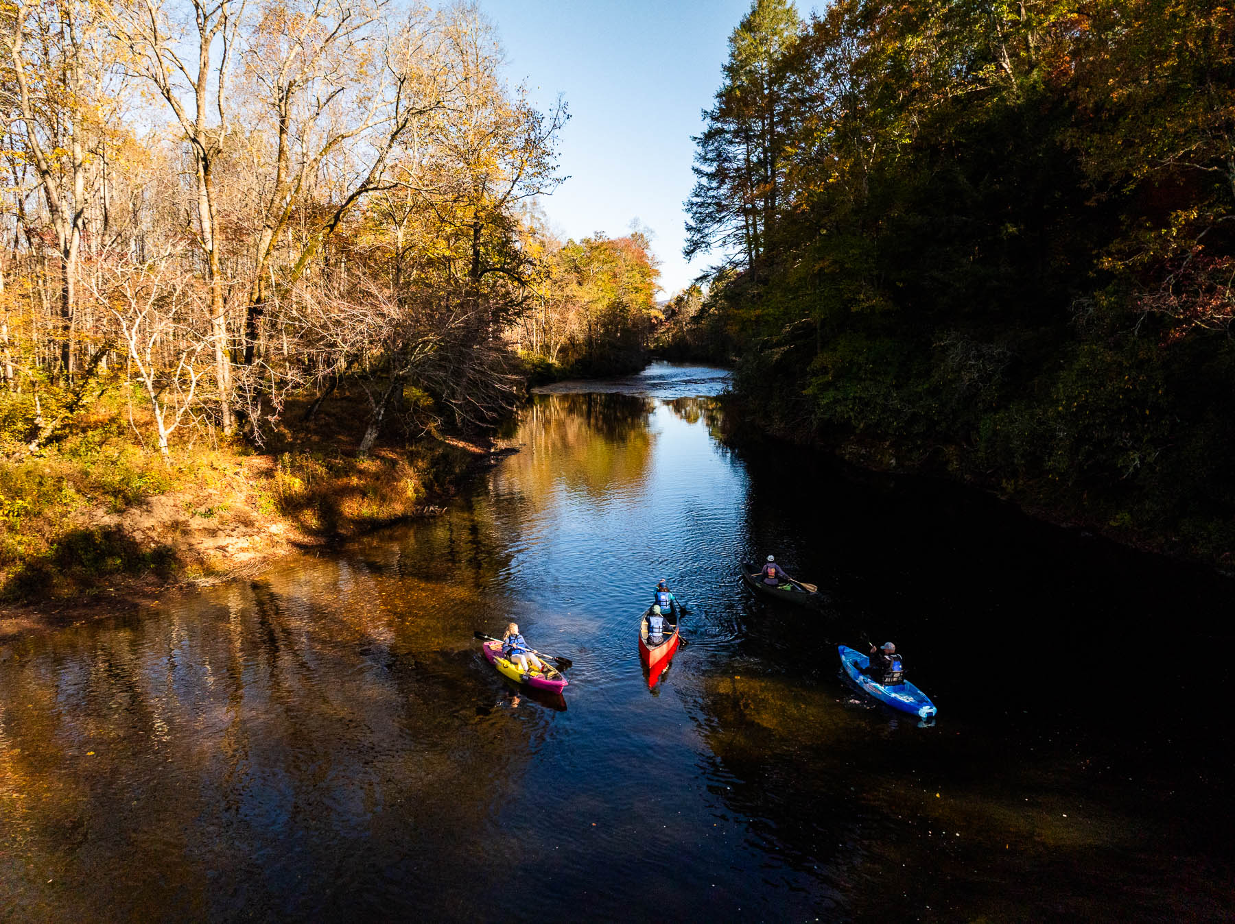 Four kayakers paddle on a calm river surrounded by trees with autumn foliage.