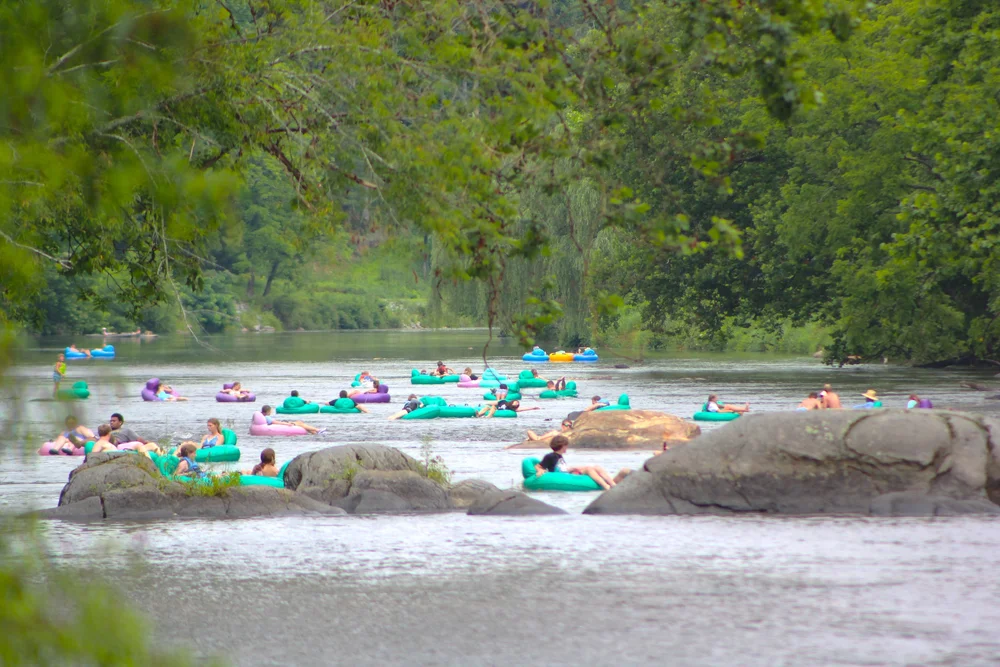People floating on tubes in a river surrounded by green trees, with rocks in the foreground.
