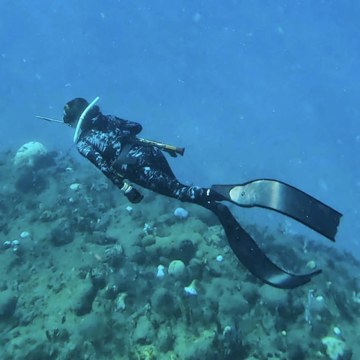 Person in wetsuit with fins swimming underwater over coral reef, holding a spear gun.