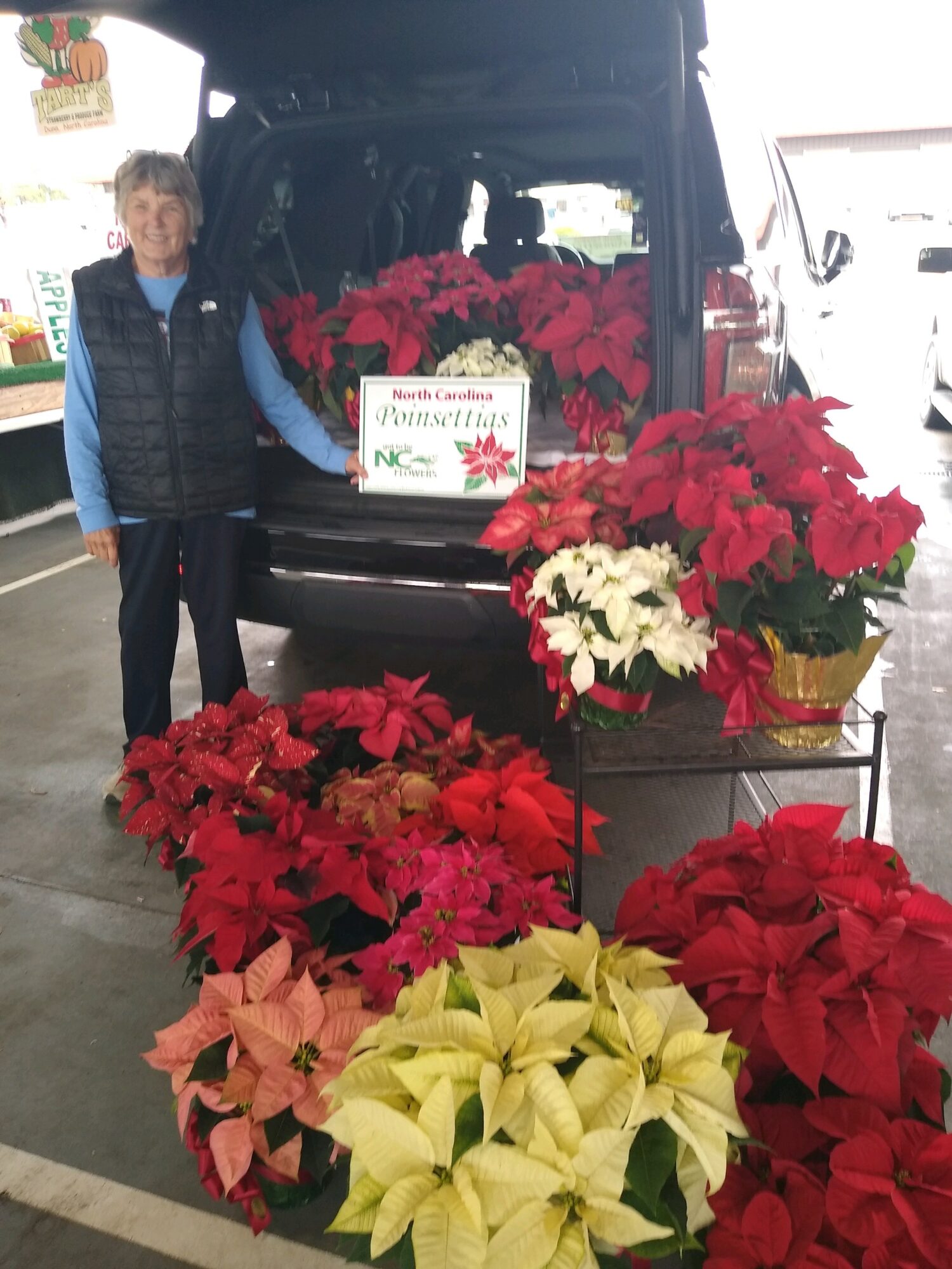 Child standing next to a vehicle with a large display of poinsettia plants in red, white, pink, and yellow colors.