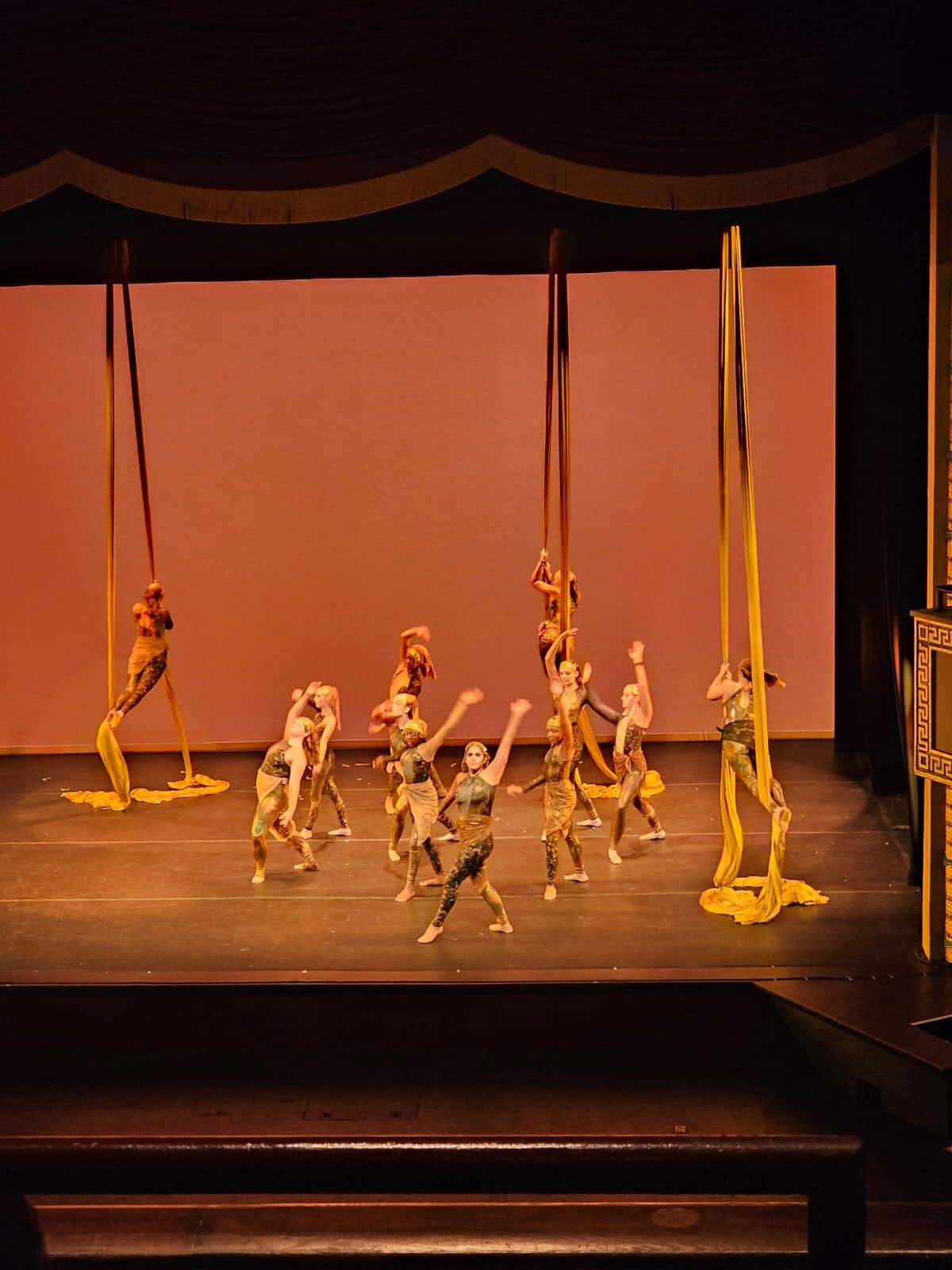 Group of performers on stage with hanging fabric, some holding poles, in a theater setting.