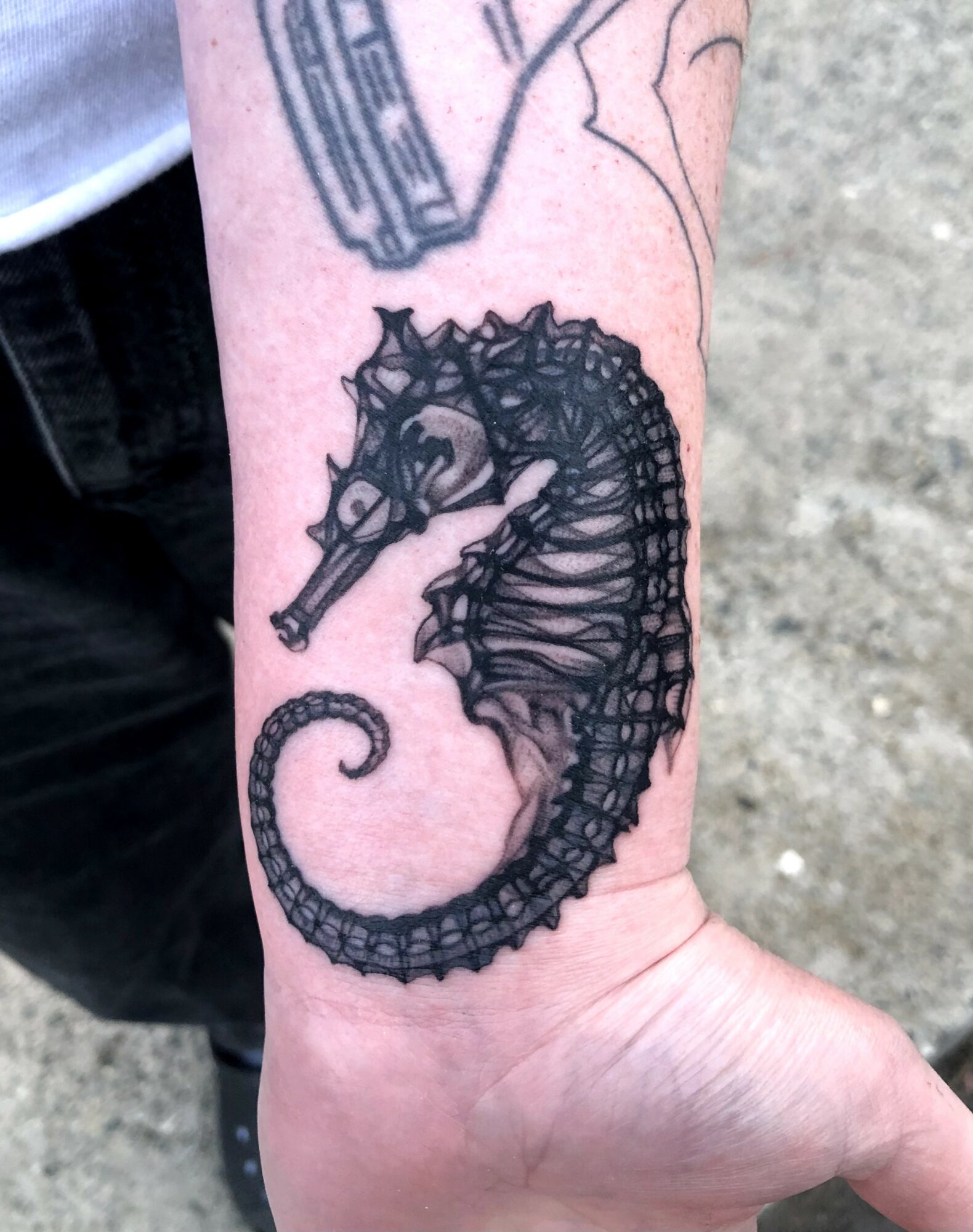 Seahorse tattoo with detailed lines and shading on person's arm.