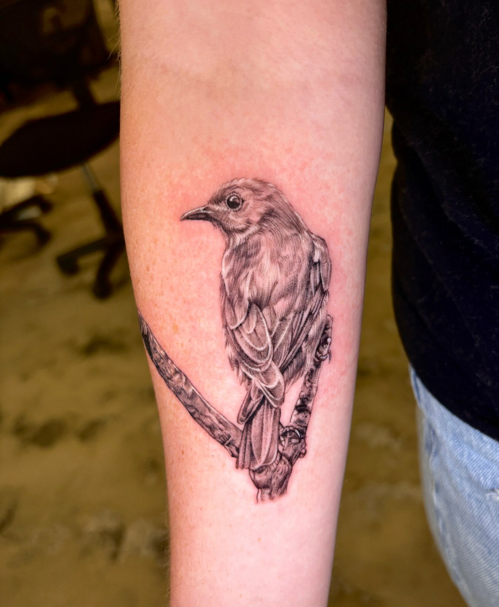 Realistic bird tattoo on person's arm, perched on a branch, detailed feathers, natural pose, black and gray ink.
