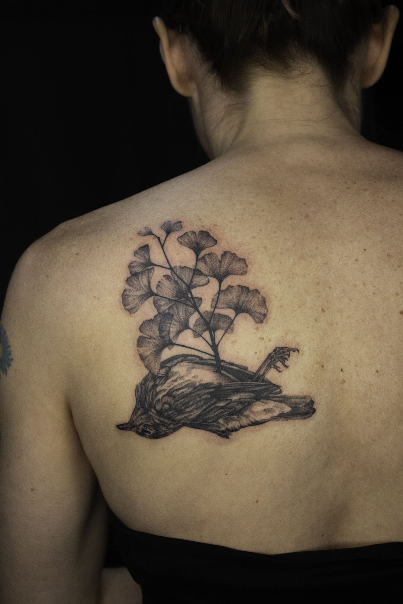 Tattoo of a bird perched on a branch with leaves on a person's shoulder blade.